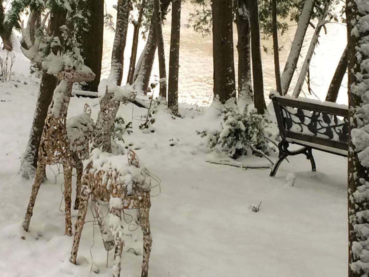 Romantic Riverside Suite In Elora Εξωτερικό φωτογραφία